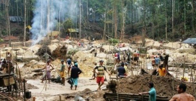 Exploração do ouro deixa rastro de destruição na Amazônia