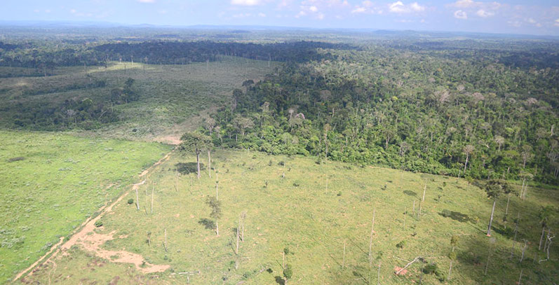 Amazônia em risco e governo demite chefe do monitoramento do Inpe