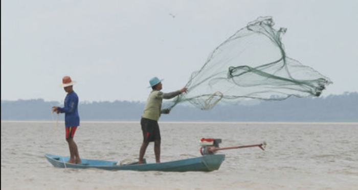 Pague Conta - Amazônia Seguradora