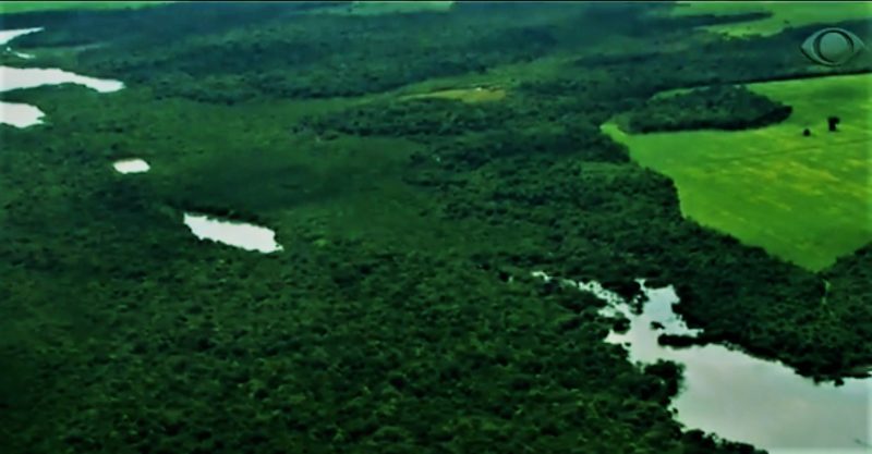 Senadores acusarão Bolsonaro na COP-26 pela paralisação do Fundo Amazônia