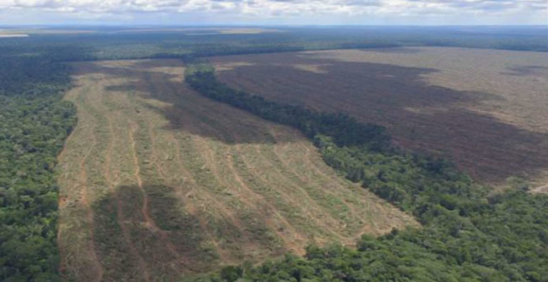Desmatamento em área de preservação na Amazônia cresceu 40%