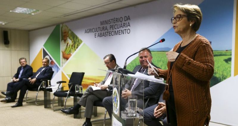 Ministra da Agricultura defende implementação do Código Florestal