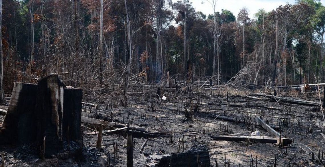 Pará sozinho responde por quase 50% do desmatamento recorde na Amazônia