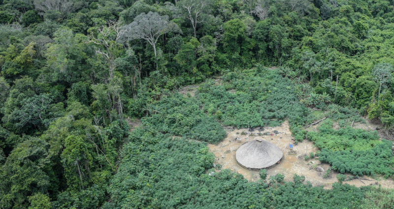 Roraima é o estado com mais áreas indígenas ameaçadas por desmatamento