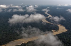 Senado aprova instalação da Frente Parlamentar da Amazônia Legal