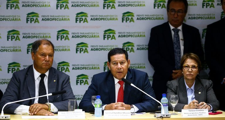 Está próximo o decreto do Conselho da Amazônia e Força Ambiental