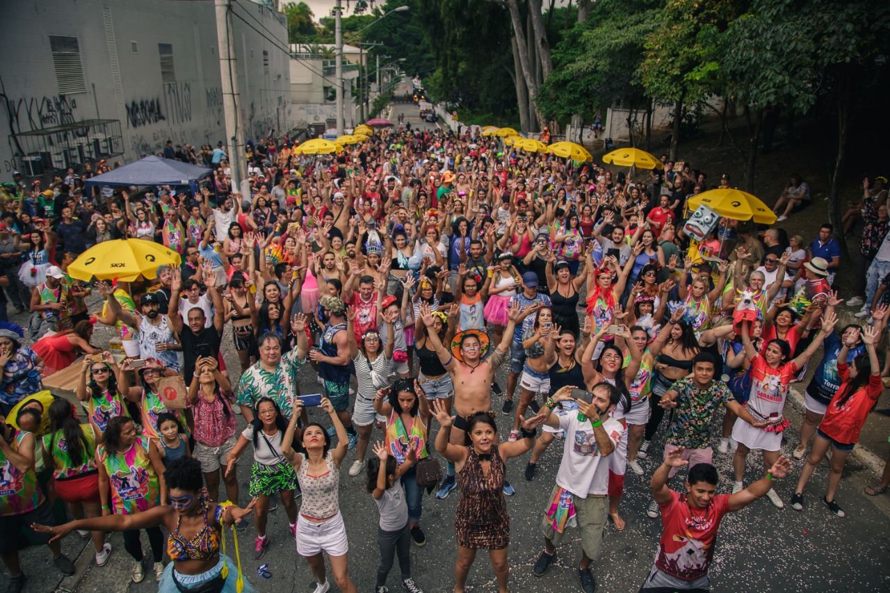 Festival de Parintins inspirou bloco Amigos do Boi no carnaval de SP