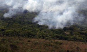 Decreto proíbe queimadas em em áreas rurais por 120 dias