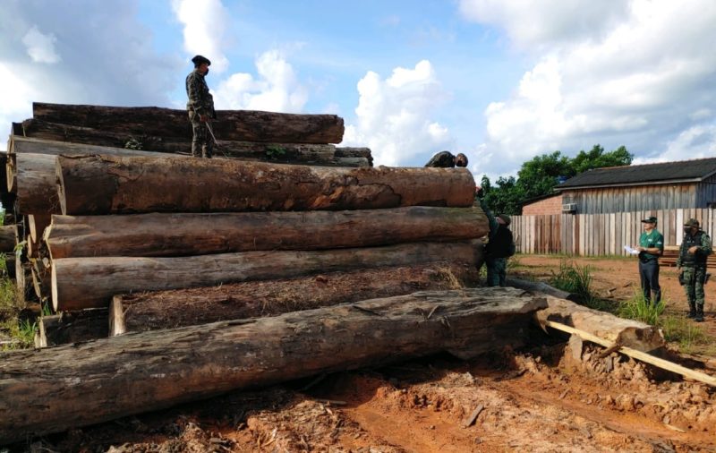Ipaam suspende autorizações para exploração florestal no Amazonas