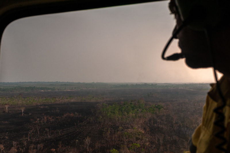 Em oito anos, Amazônia perdeu uma "São Paulo" para devastação
