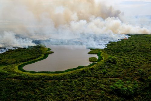 Maioria dos brasileiros desaprova política ambiental de Bolsonaro