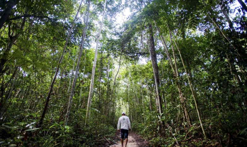 Produtores receberão por florestas conservadas na Amazônia 