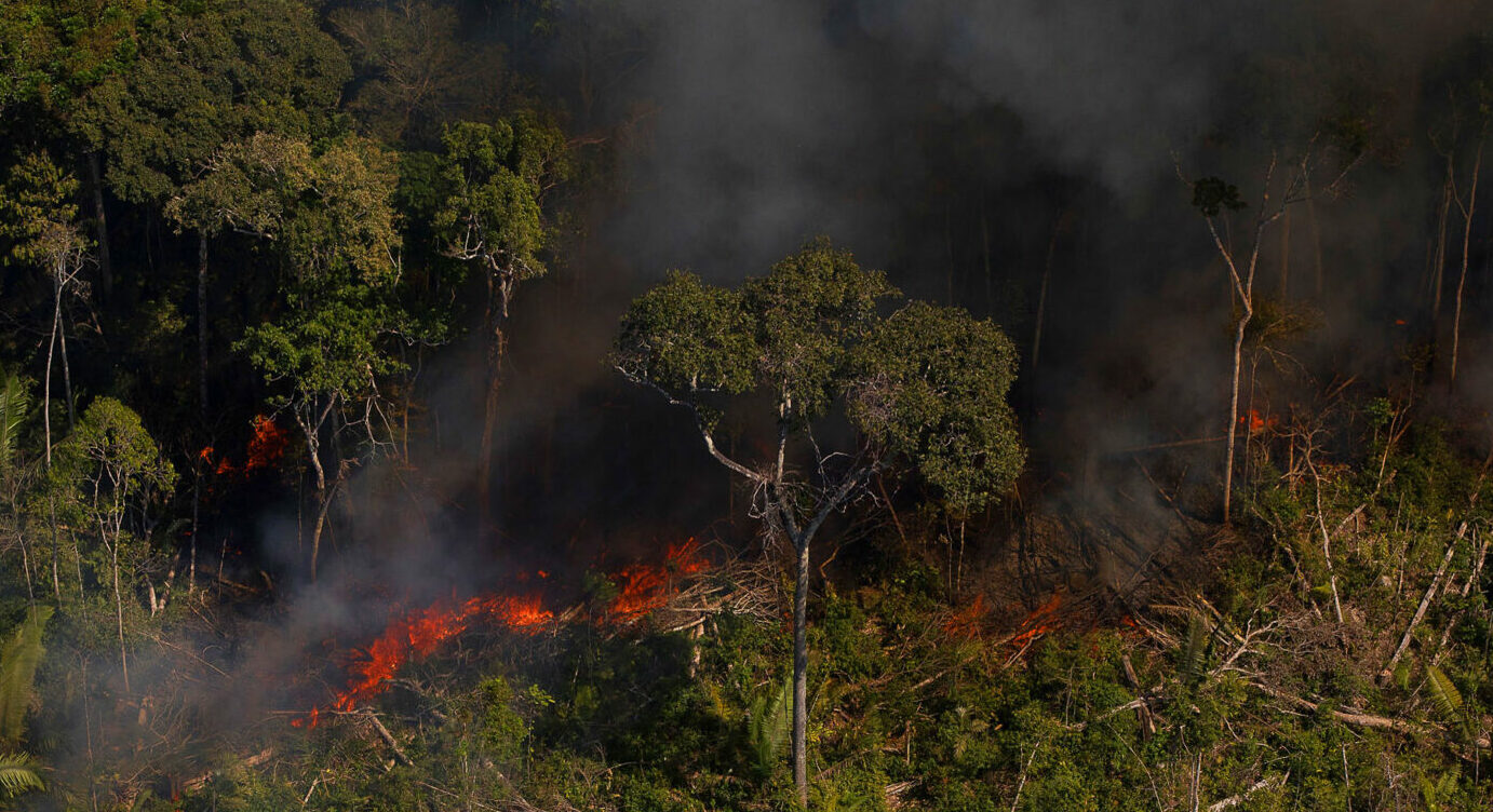 Ibama chama para as bases os agentes de combate a incêndios florestais