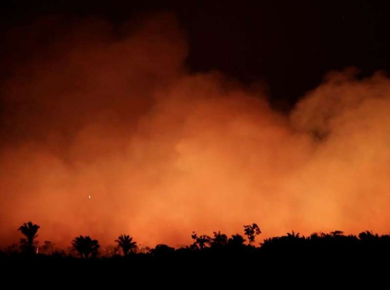 Floresta no Sul do AM enfrenta desmatamentos, queimadas e grilagem