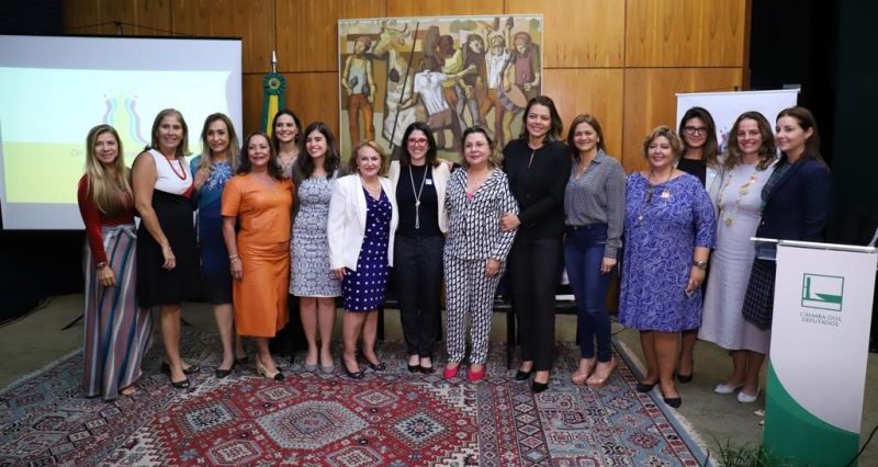 grupo, mulheres, brasil, candidatas