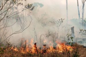Fogo na Amazônia cresceu mais de 100% em outubro, aponta o Inpe