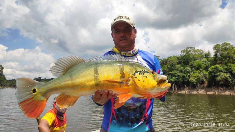 Pescadores esportivos da Amazônia ganham espaço para conexão na web