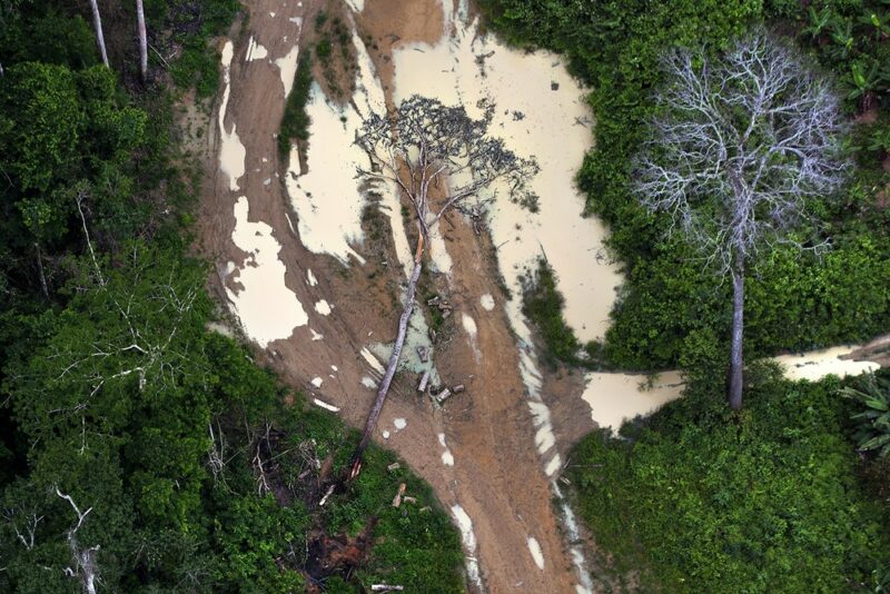 Amazônia teve pior desmatamento em março apesar de operação militar