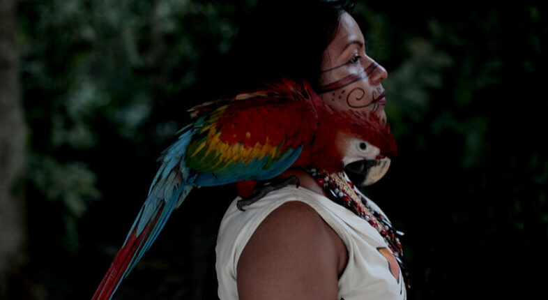 Artistas indígenas do Amazonas são escolhidos no projeto Natura Musical