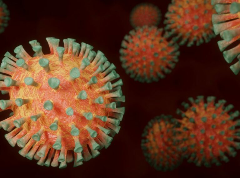 Brasil confirma contaminação por duas variantes do coronavírus