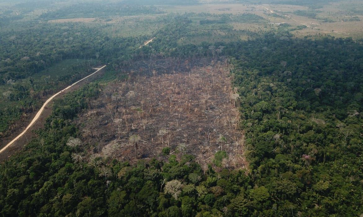 Para governo, desmatamento na Amazônia é menor de quatro anos