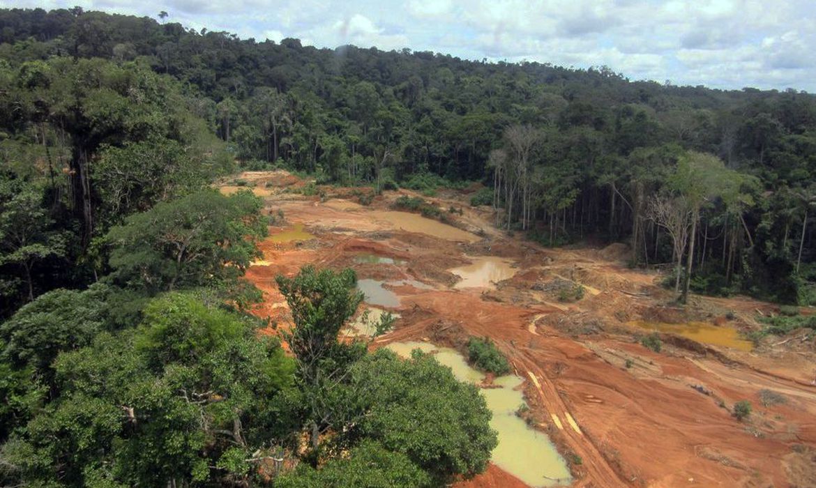 Roraima e Rondônia se antecipam na facilitação de garimpeiros