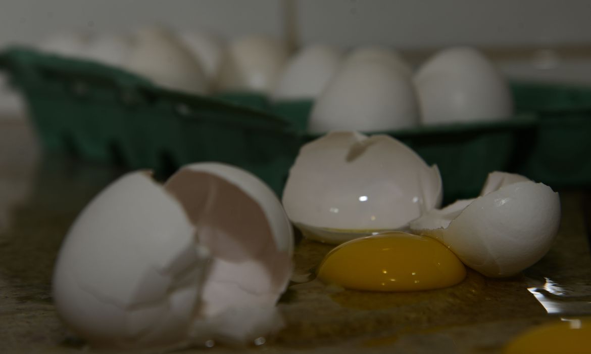 Nova vacina do Butantan contra a covid-19 é de ovos de galinha