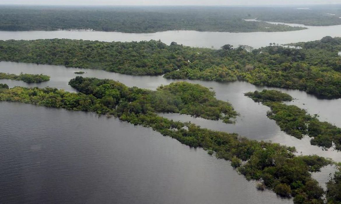 Comunidades amazônicas se destacam no mercado sustentável