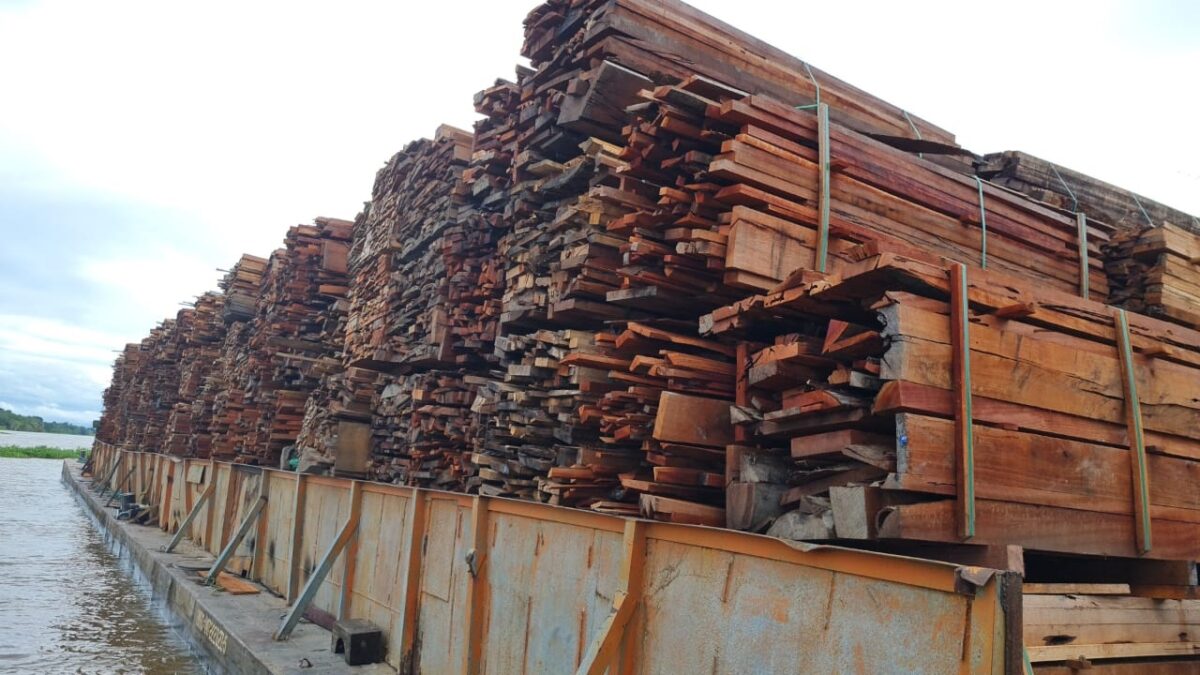 PM apreende grande carga ilegal de madeira beneficiada no Amazonas
