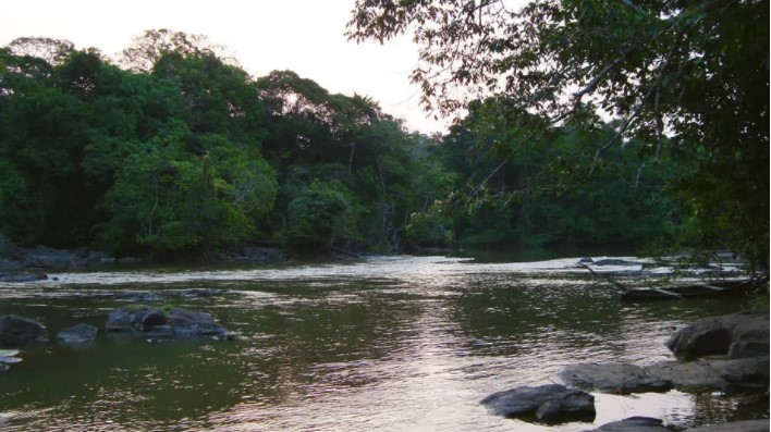 Ibama nega licença ambiental a hidrelétrica de Bolsonaro na Amazônia