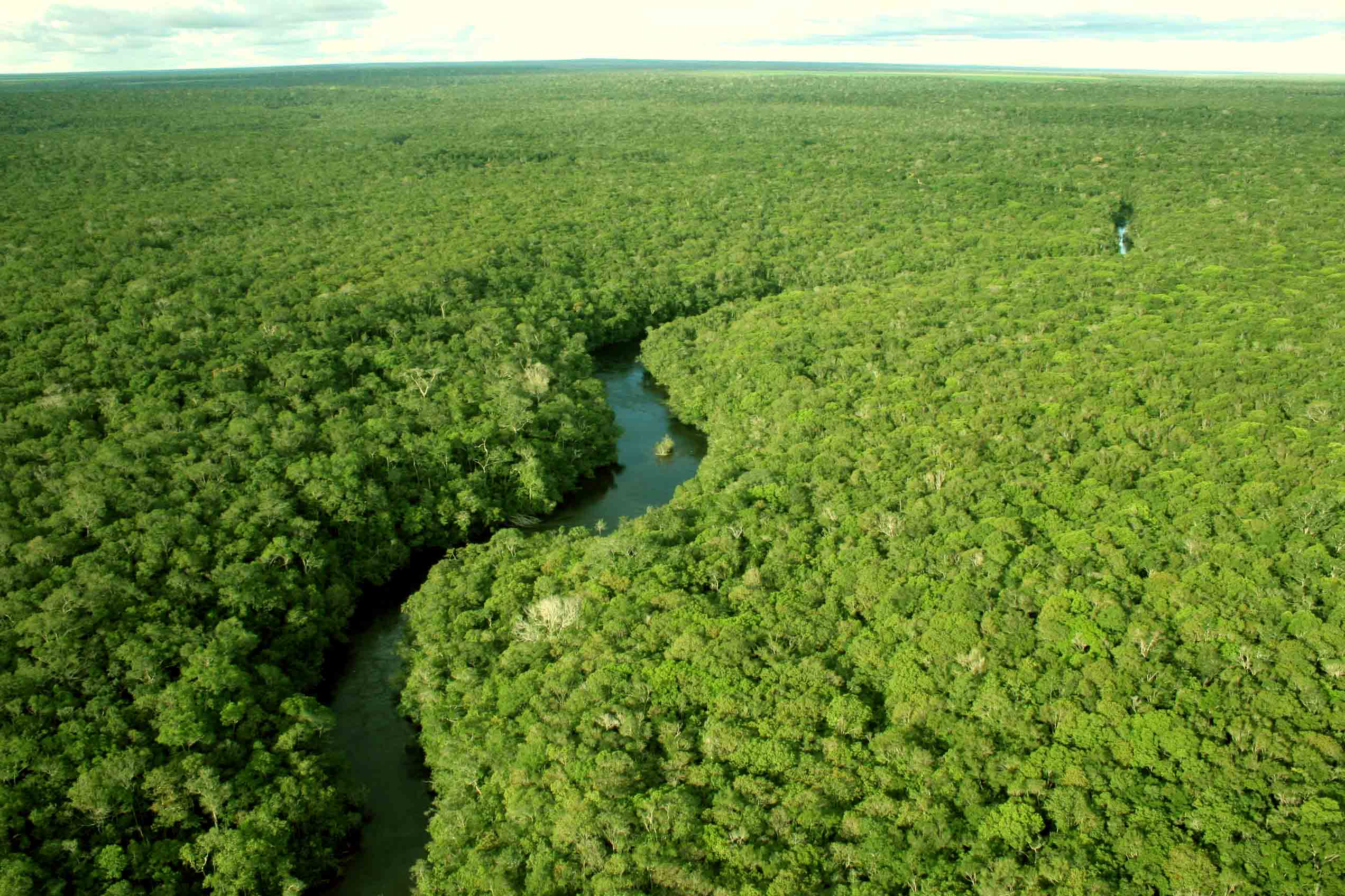 Amazonas é o estado com a maior área de terras públicas sem destinação