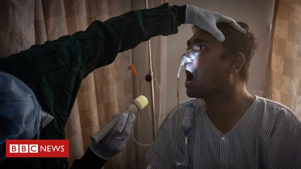 Saúde investiga caso de `fungo preto` indiano em pacientes do AM e SC