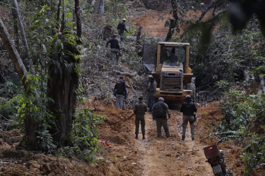 Madeireiras montam barricadas para dificultar fiscalização na floresta