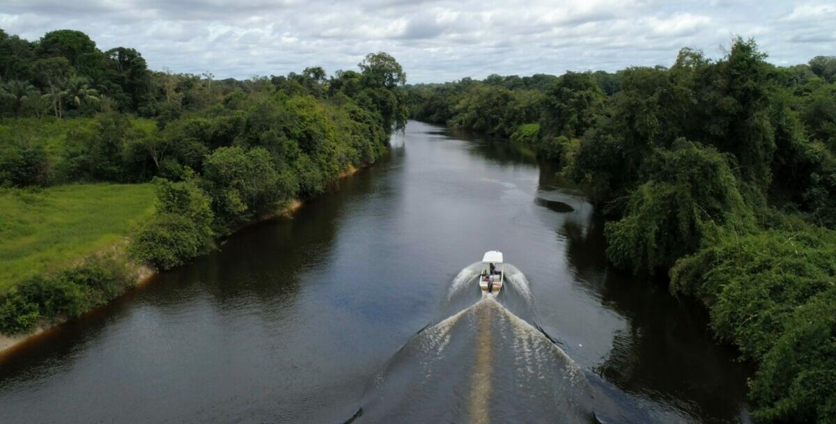 TCU aponta problemas no controle do desmatamento na Amazônia