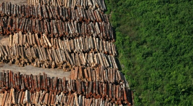 Amazônia foi desmatada 150% a mais em dezembro