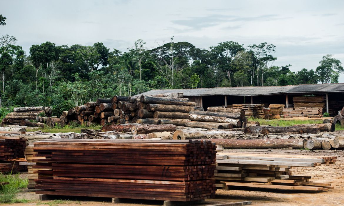Judiciário reconhece crise do clima em ação contra desmatamento