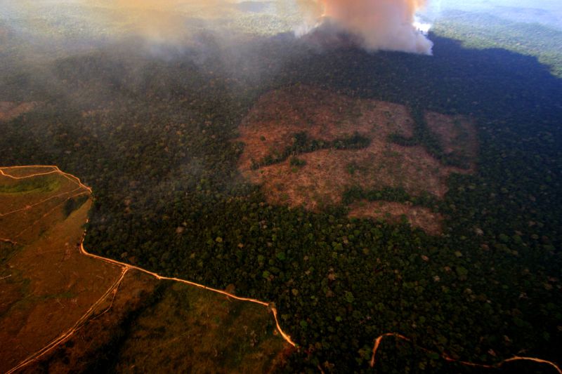 Governadores dos estados da Amazônia lançam plano para recuperação verde