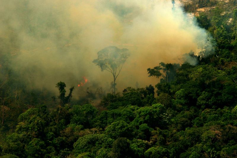 Amazônia registra pior acumulado de desmatamento em cinco anos