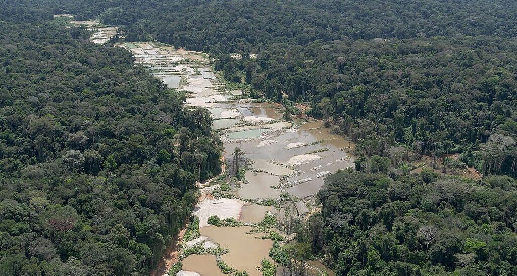 Amazônia não pode faltar no debate dos presidenciáveis em 2022