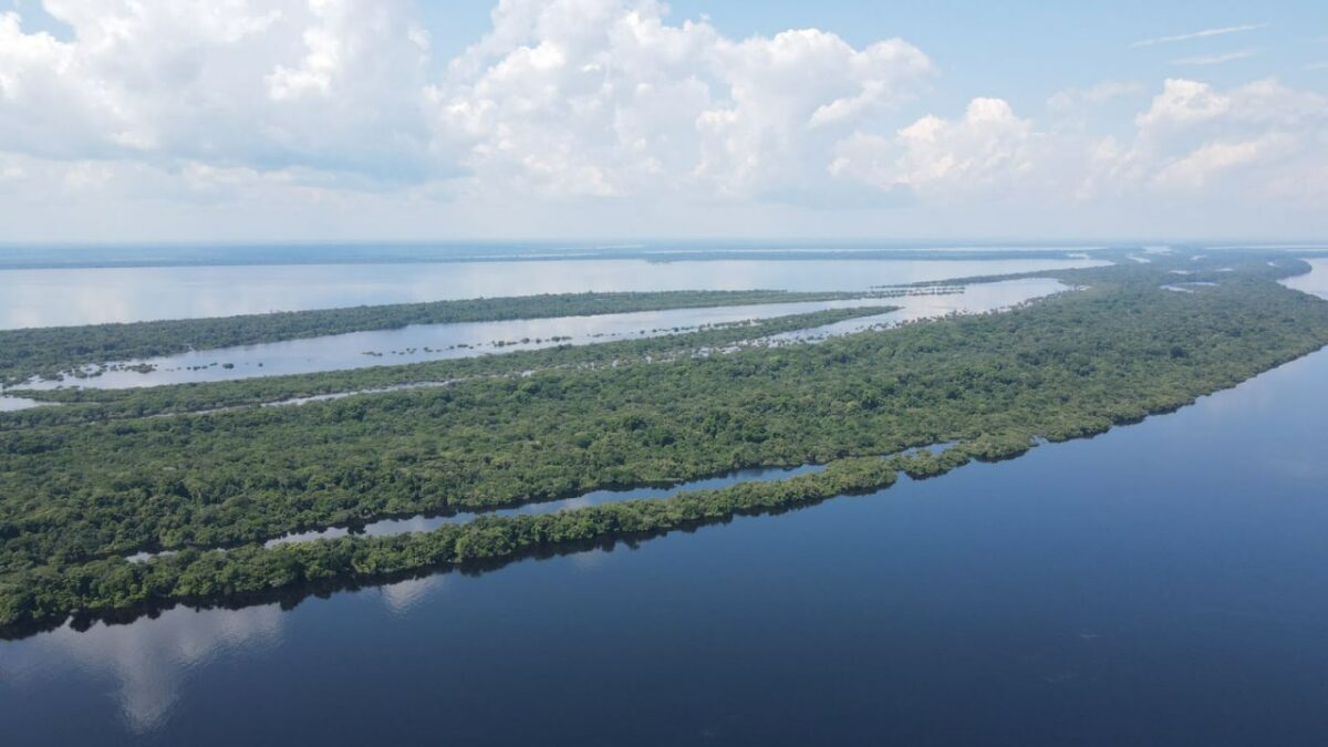 Amazonas e Unesco lançam plano para Amazônia Central