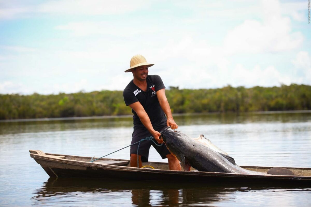 Indígenas do rio Tapauá, no AM, fazem população do pirarucu aumentar 631%