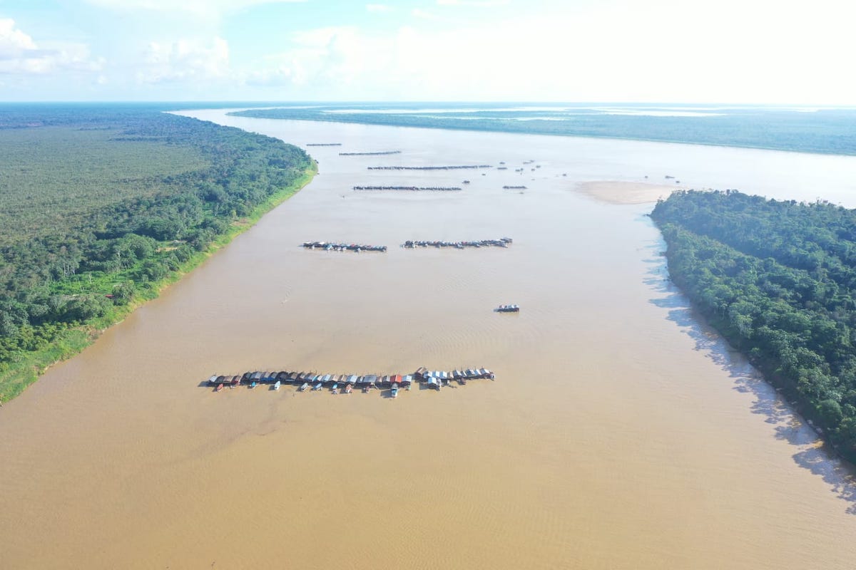 Amazônia: para além do garimpo (parte 1)