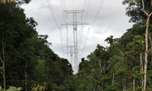 Linha de Tucuruí no Amazonas