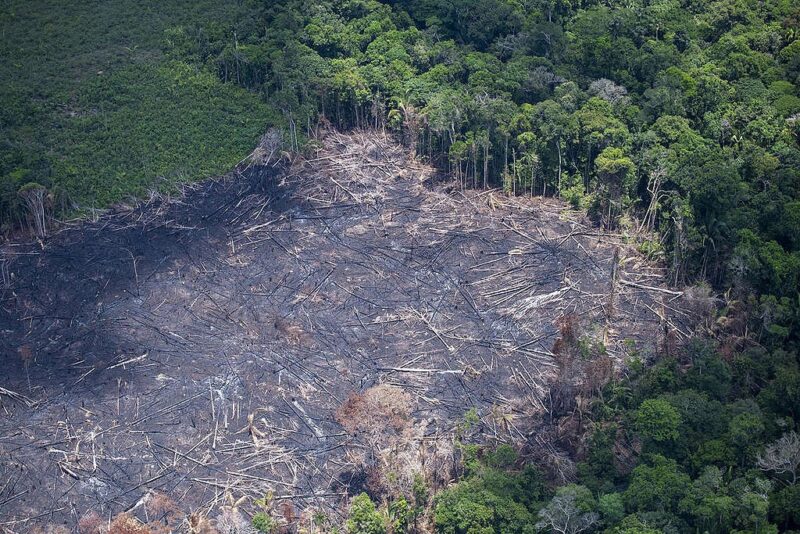 MPF denuncia desmatamento e invasão de terras em Lábrea