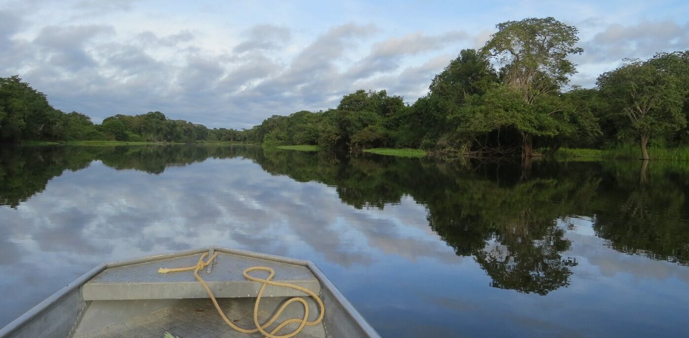 Amazônia perde seu maior porta-voz mundial, Tom Lovejoy