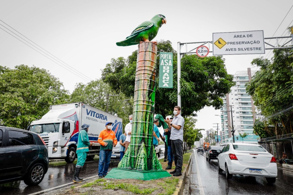 Prefeitura de Manaus cria zona de controle para proteger periquitos