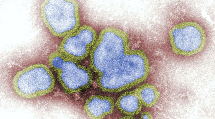 Onze estados têm mortes pela influenza e três declaram epidemia
