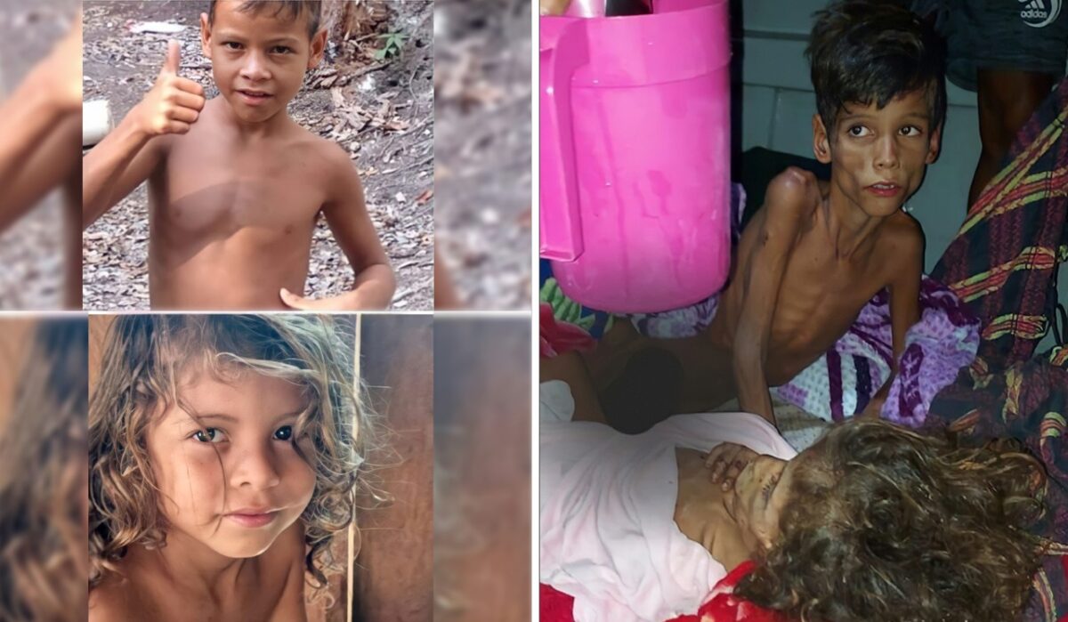 Após 26 dias perdidos na selva, crianças são achadas no Amazonas