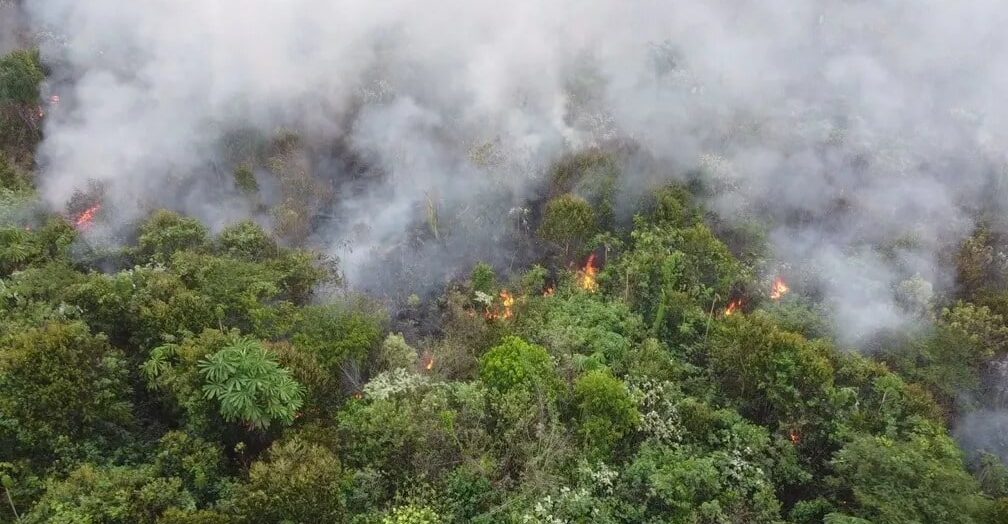 Inpe vê Amazonas em primeiro lugar em queimadas na Amazônia