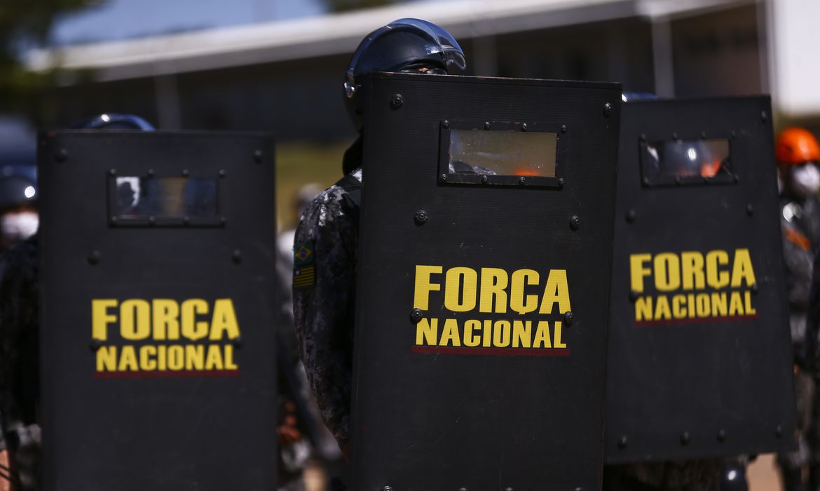Força Nacional vai ao Amazonas para combate a crimes ambientais